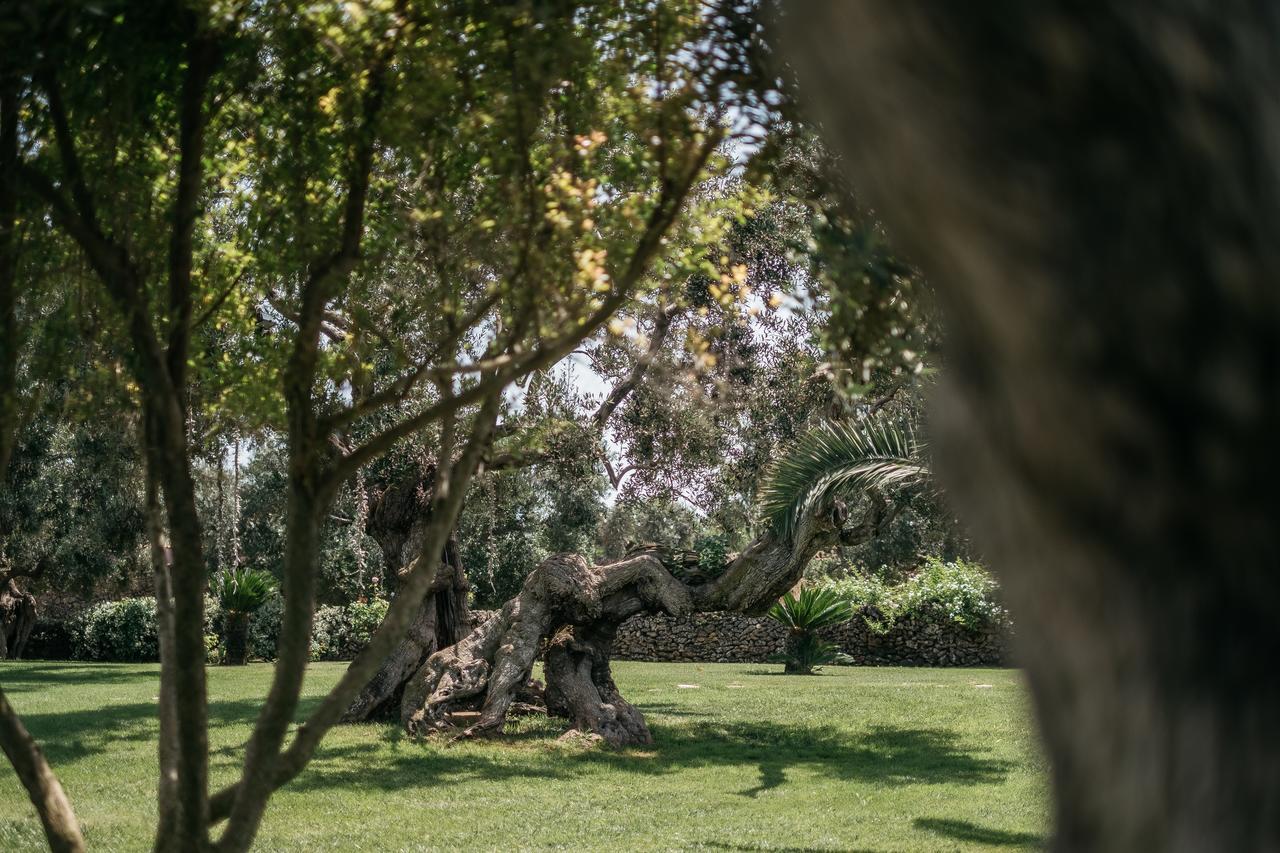 Tenuta Monacelli Lecce Extérieur photo